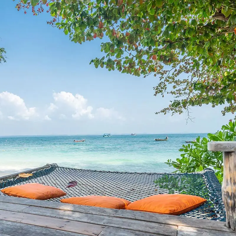 Share Your Experience